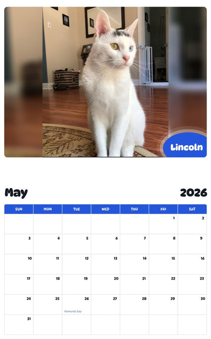 2026 - 2027 Lincoln - Pawidols Pet Calendar