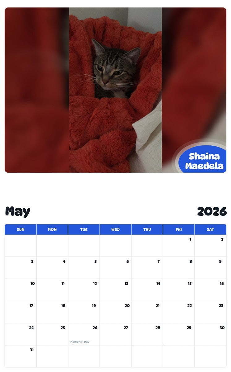 2026 - 2027 Shaina Maedela - Pawidols Pet Calendar