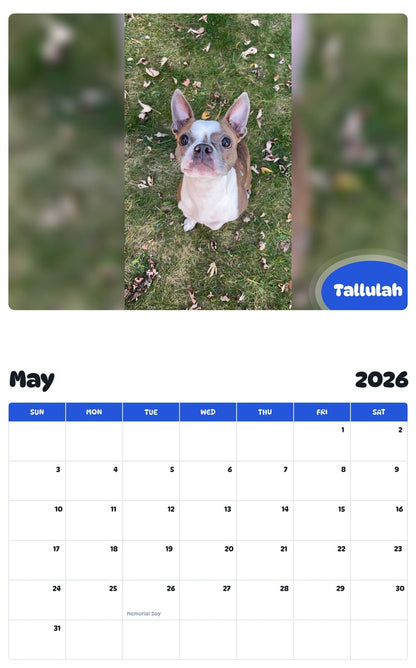 2026 - 2027 Tallulah - Pawidols Pet Calendar
