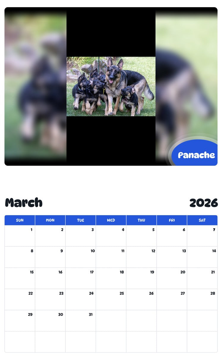 November 2025 - October 2026 Panache - Pawidols Pet Calendar