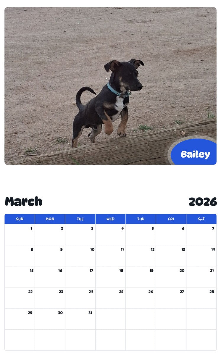November 2025 - October 2026 Bailey - Pawidols Pet Calendar