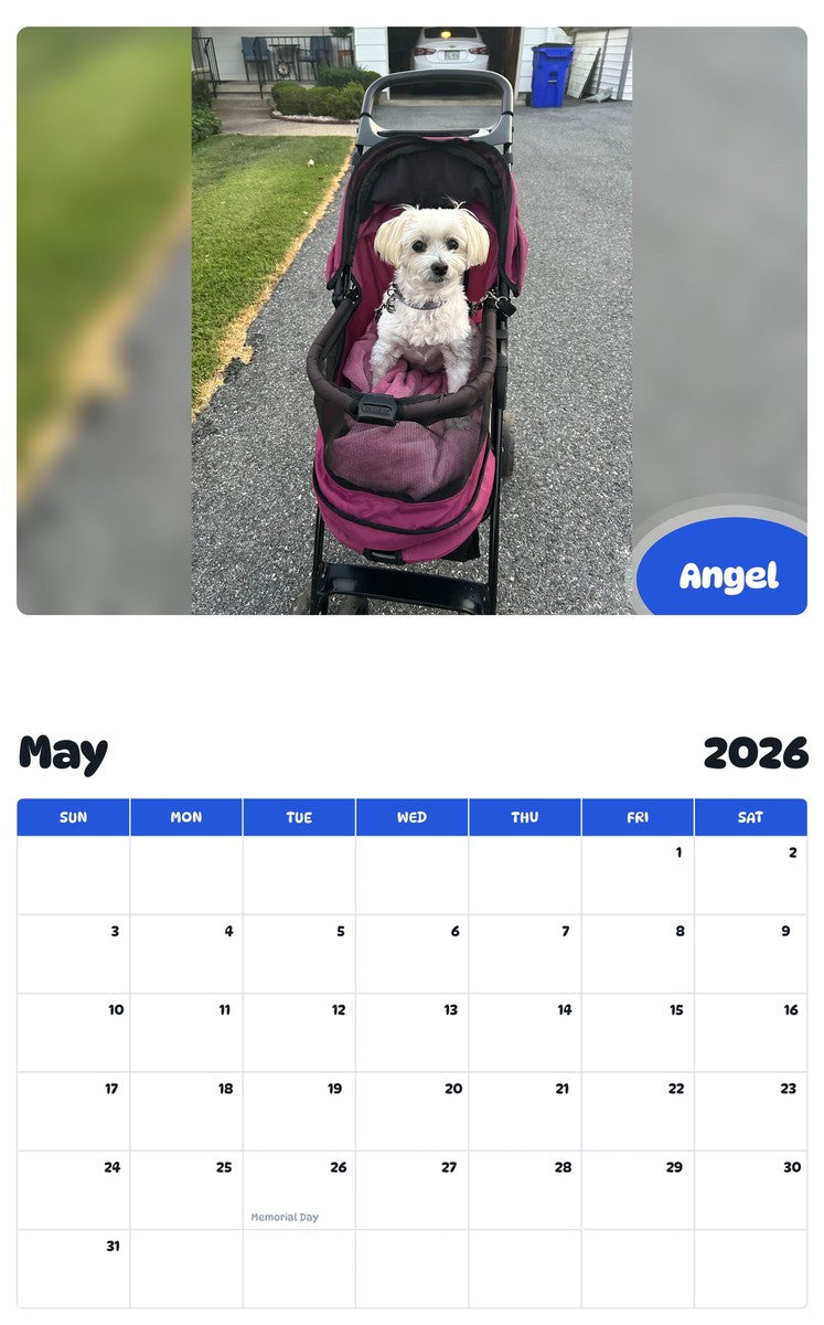2026 - 2027 Angel - Pawidols Pet Calendar