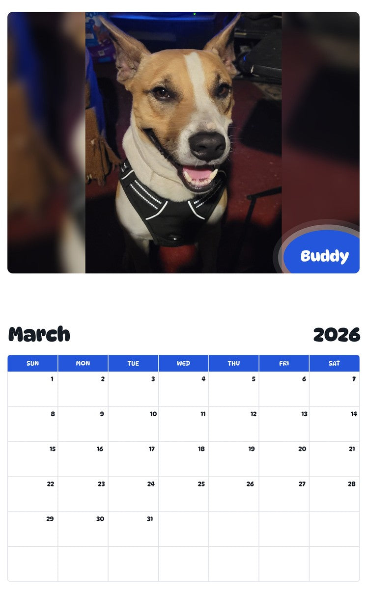 November 2025 - October 2026 Buddy - Pawidols Pet Calendar