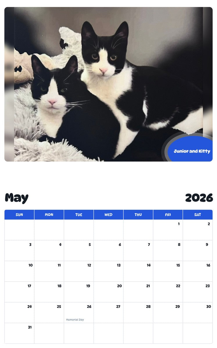2026 - 2027 Junior and Kitty - Pawidols Pet Calendar