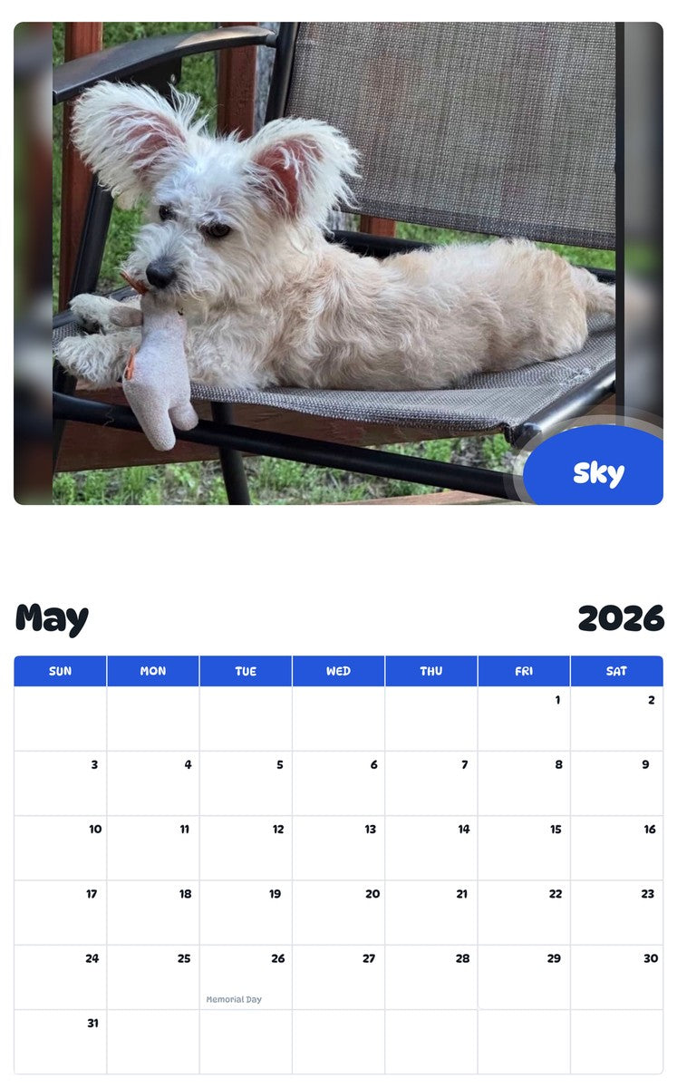 2026 - 2027 Sky - Pawidols Pet Calendar