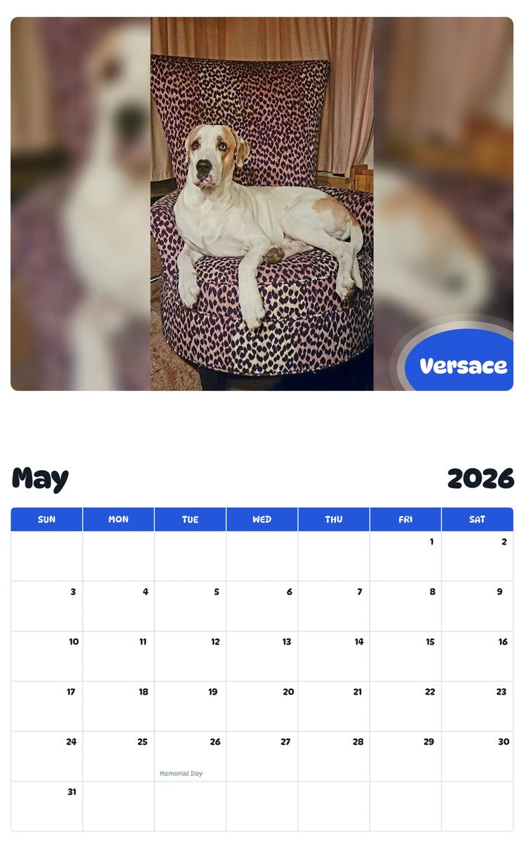 2026 - 2027 Versace - Pawidols Pet Calendar