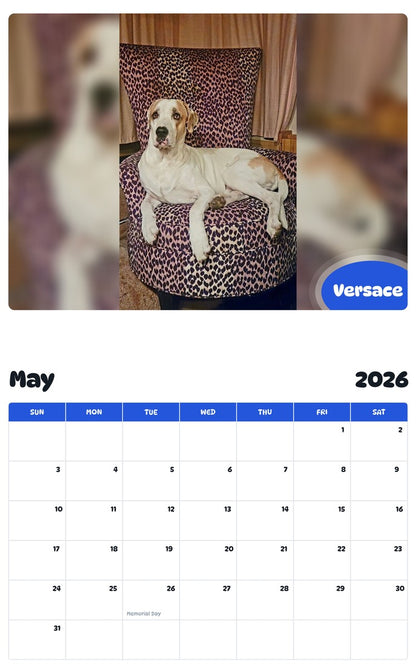 2026 - 2027 Versace - Pawidols Pet Calendar