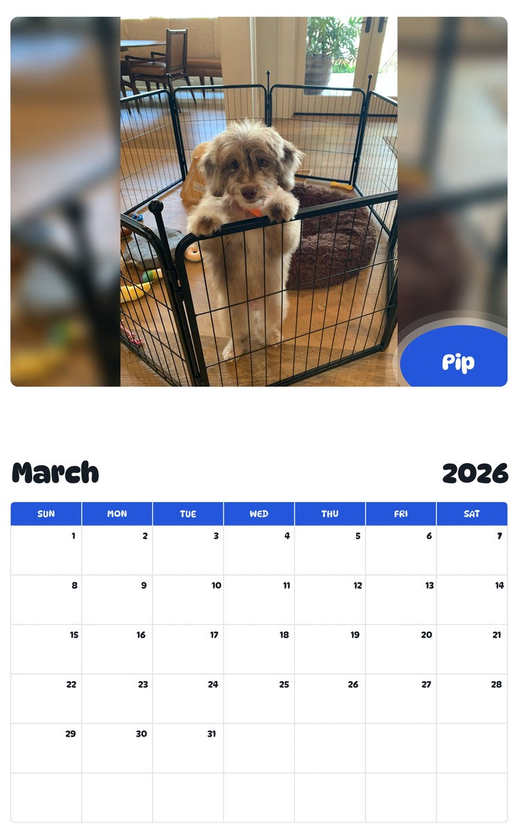 November 2025 - October 2026 Pip - Pawidols Pet Calendar