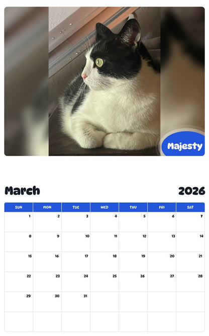 November 2025 - October 2026 Majesty - Pawidols Pet Calendar