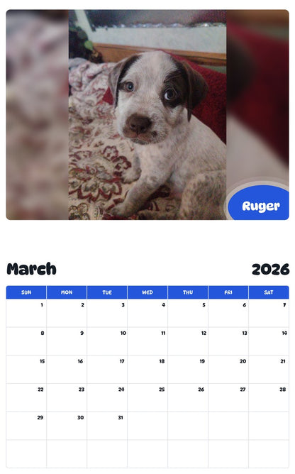 November 2025 - October 2026 Ruger - Pawidols Pet Calendar