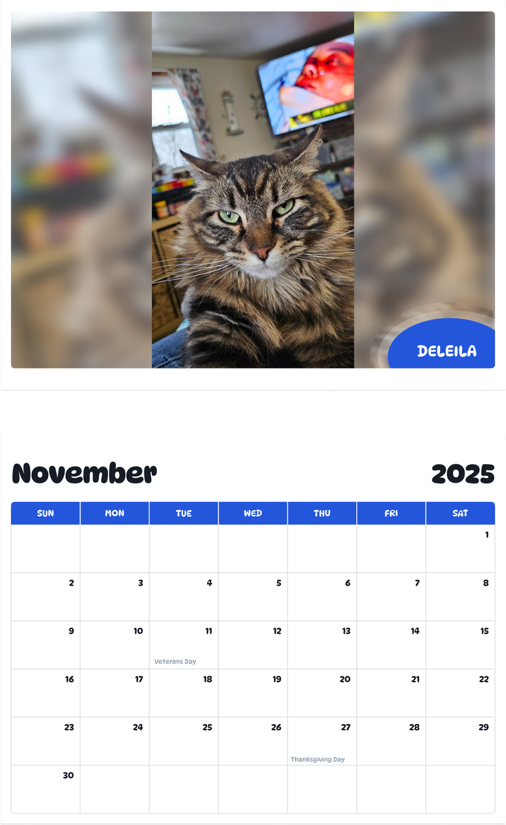 July 2025 - June 2026 Deleila - Pawidols Pet Calendar