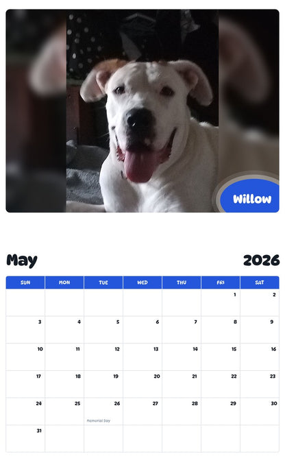 2026 - 2027 Willow - Pawidols Pet Calendar