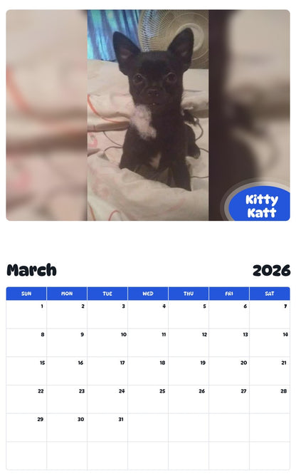 November 2025 - October 2026 Kitty Katt - Pawidols Pet Calendar