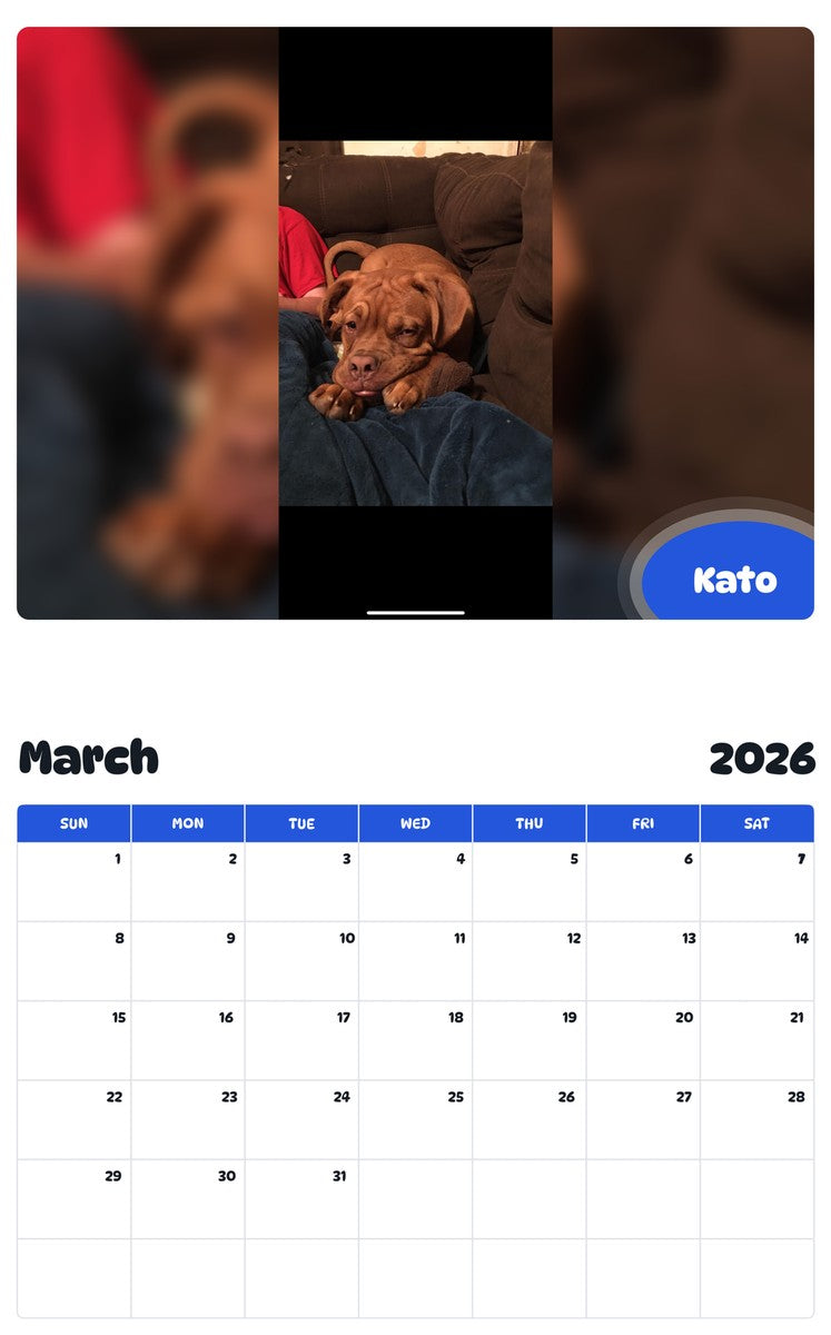 November 2025 - October 2026 Kato - Pawidols Pet Calendar