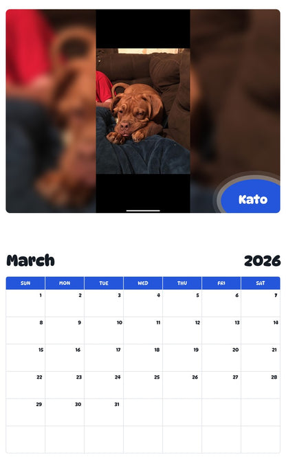 November 2025 - October 2026 Kato - Pawidols Pet Calendar