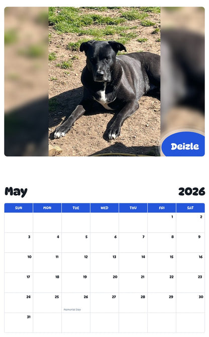 2026 - 2027 Deizle - Pawidols Pet Calendar