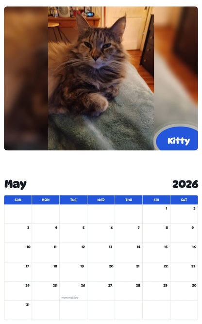 2026 - 2027 Kitty - Pawidols Pet Calendar