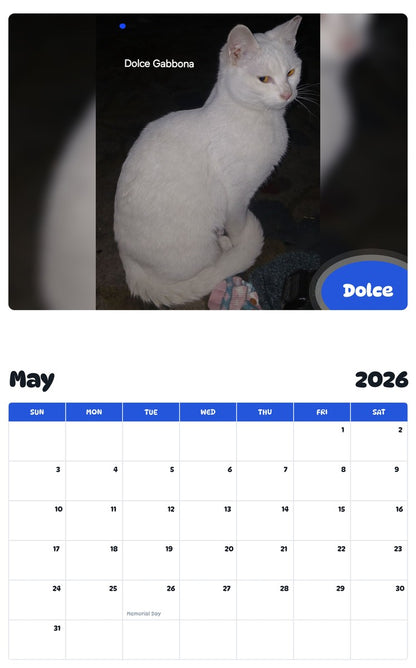 2026 - 2027 Dolce - Pawidols Pet Calendar