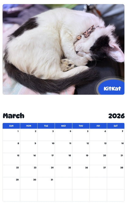 November 2025 - October 2026 KitKat - Pawidols Pet Calendar