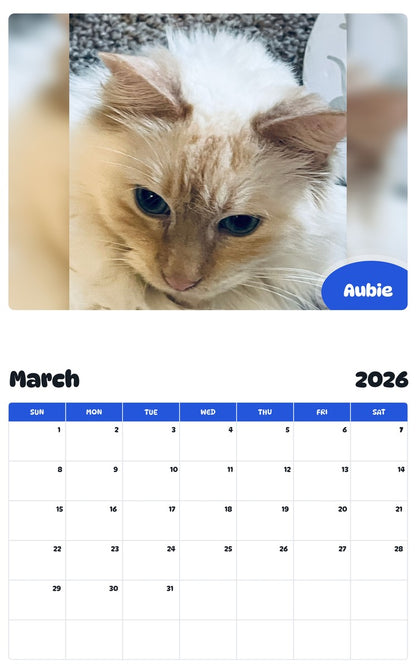 November 2025 - October 2026 Aubie - Pawidols Pet Calendar