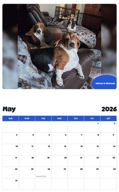 2026 - 2027 Watson & Sherlock - Pawidols Pet Calendar