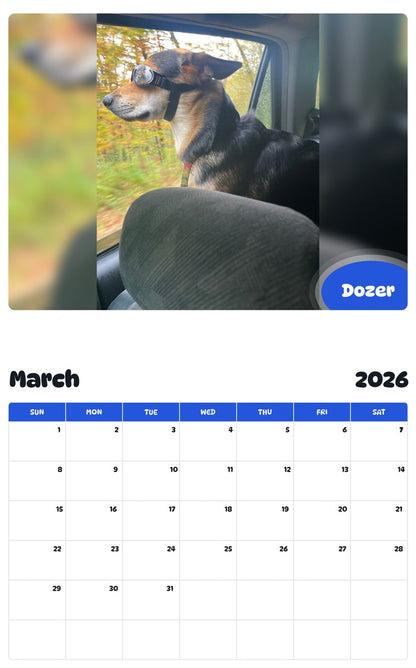 November 2025 - October 2026 Dozer - Pawidols Pet Calendar