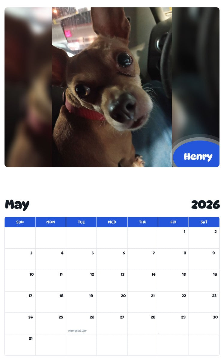 2026 - 2027 Henry - Pawidols Pet Calendar