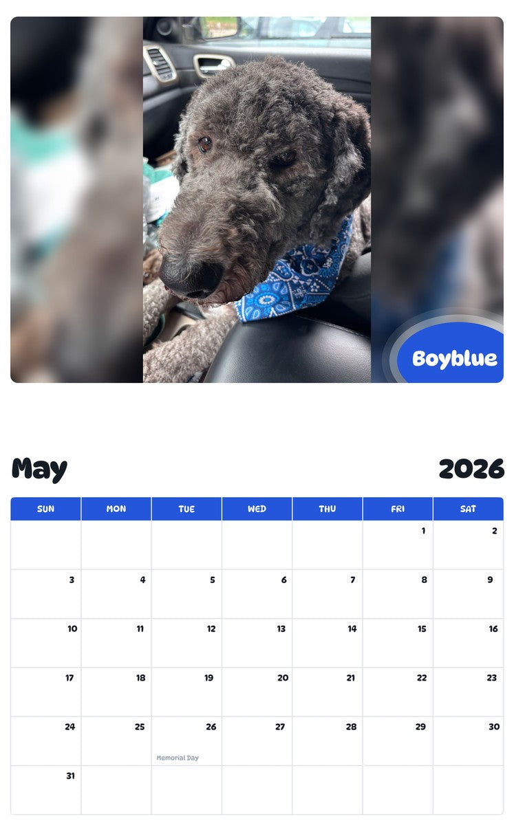 2026 - 2027 Boyblue - Pawidols Pet Calendar