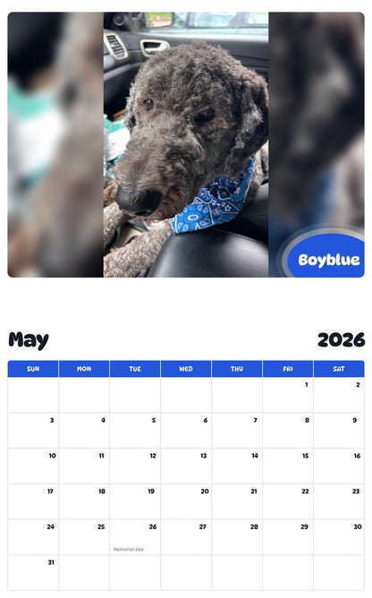 2026 - 2027 Boyblue - Pawidols Pet Calendar