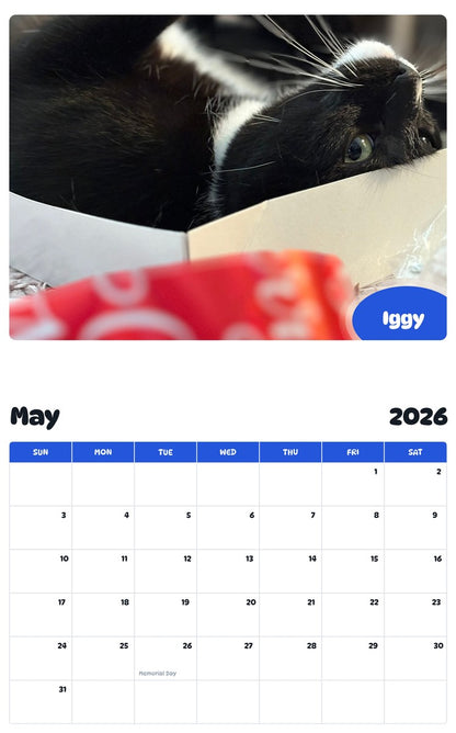 2026 - 2027 Iggy - Pawidols Pet Calendar