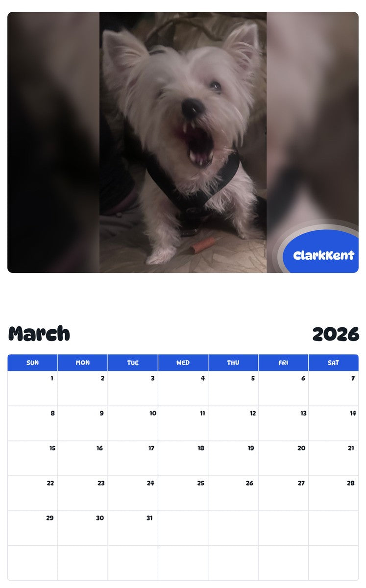 November 2025 - October 2026 ClarkKent - Pawidols Pet Calendar