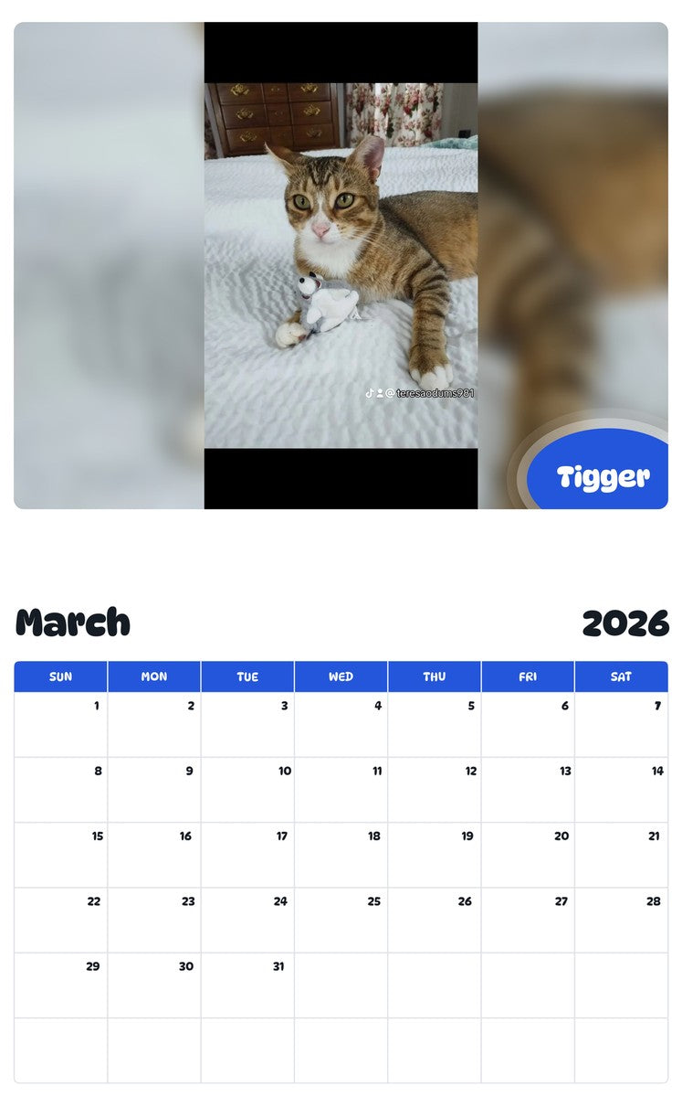 November 2025 - October 2026 Tigger - Pawidols Pet Calendar