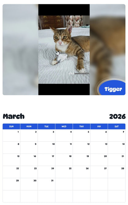 November 2025 - October 2026 Tigger - Pawidols Pet Calendar