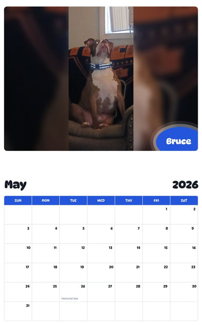 2026 - 2027 Bruce - Pawidols Pet Calendar
