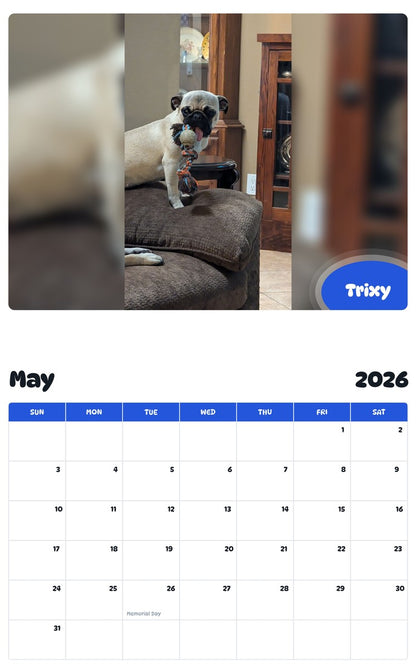 2026 - 2027 Trixy - Pawidols Pet Calendar