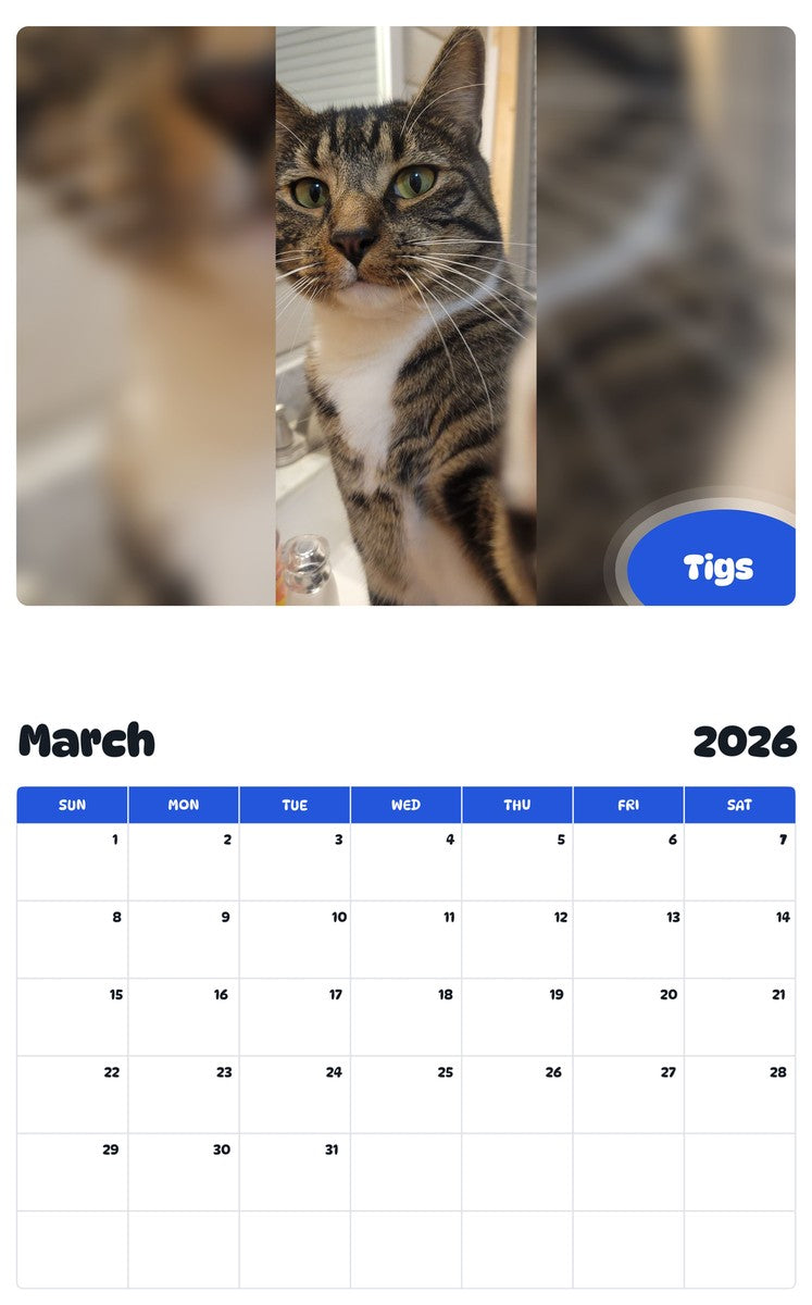 November 2025 - October 2026 Tigs - Pawidols Pet Calendar
