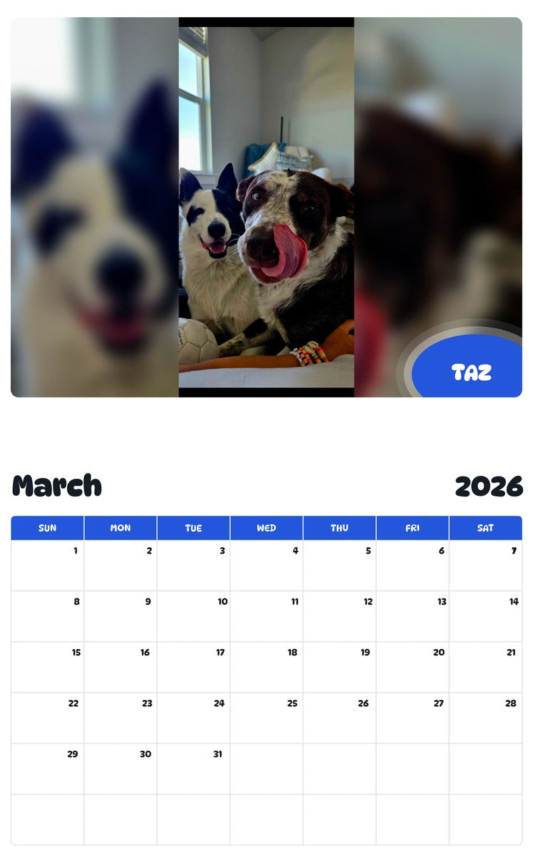 November 2025 - October 2026 TAZ - Pawidols Pet Calendar