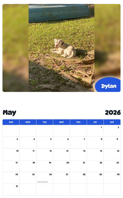 2026 - 2027 Dylan - Pawidols Pet Calendar
