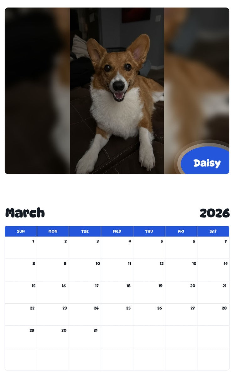 November 2025 - October 2026 Daisy - Pawidols Pet Calendar