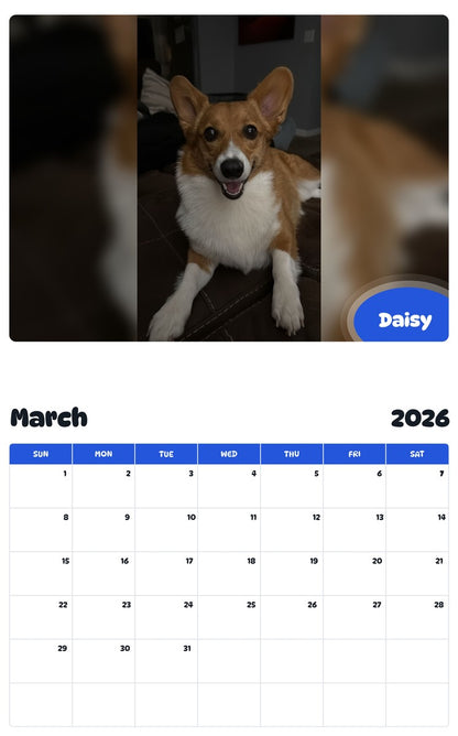 November 2025 - October 2026 Daisy - Pawidols Pet Calendar