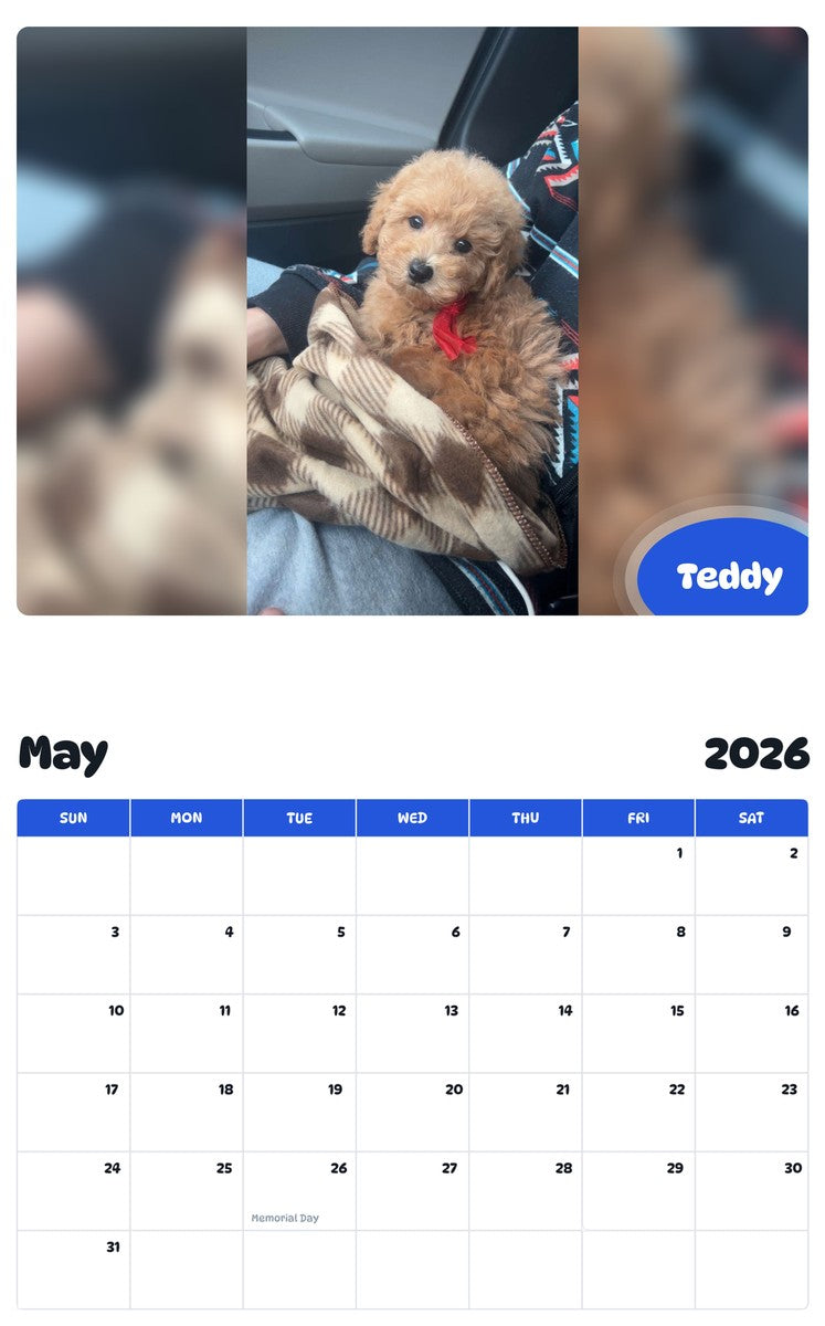 2026 - 2027 Teddy - Pawidols Pet Calendar