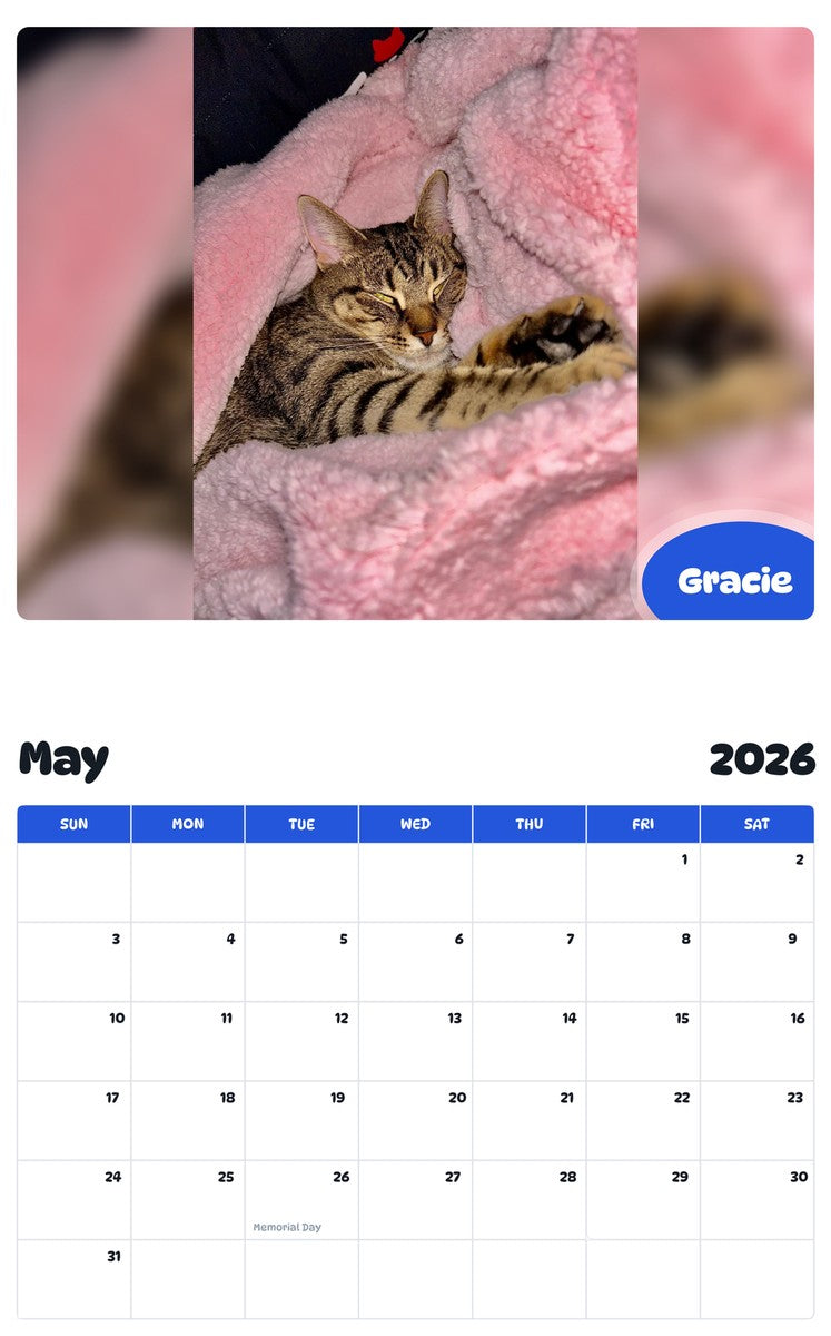 2026 - 2027 Gracie - Pawidols Pet Calendar