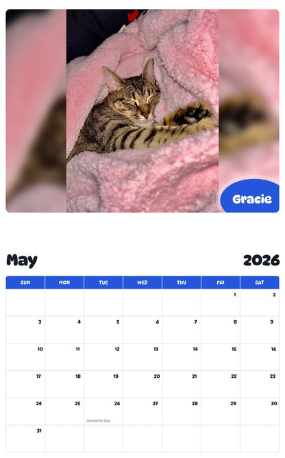 2026 - 2027 Gracie - Pawidols Pet Calendar