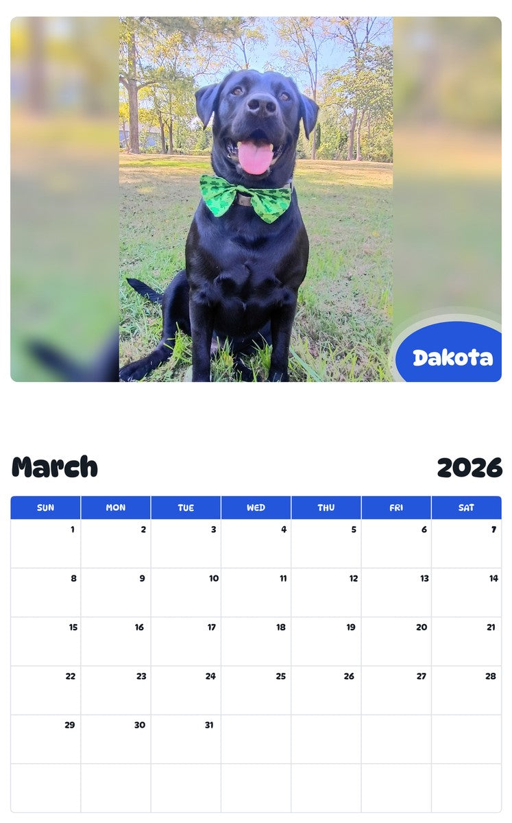 November 2025 - October 2026 Dakota - Pawidols Pet Calendar