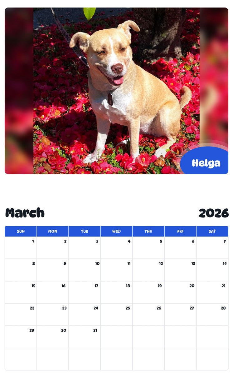 November 2025 - October 2026 Helga - Pawidols Pet Calendar