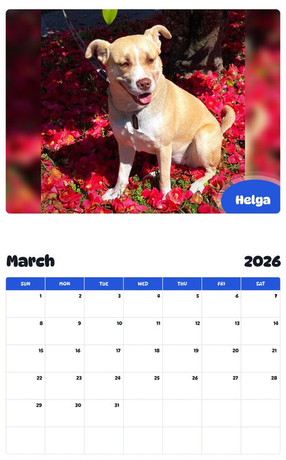 November 2025 - October 2026 Helga - Pawidols Pet Calendar