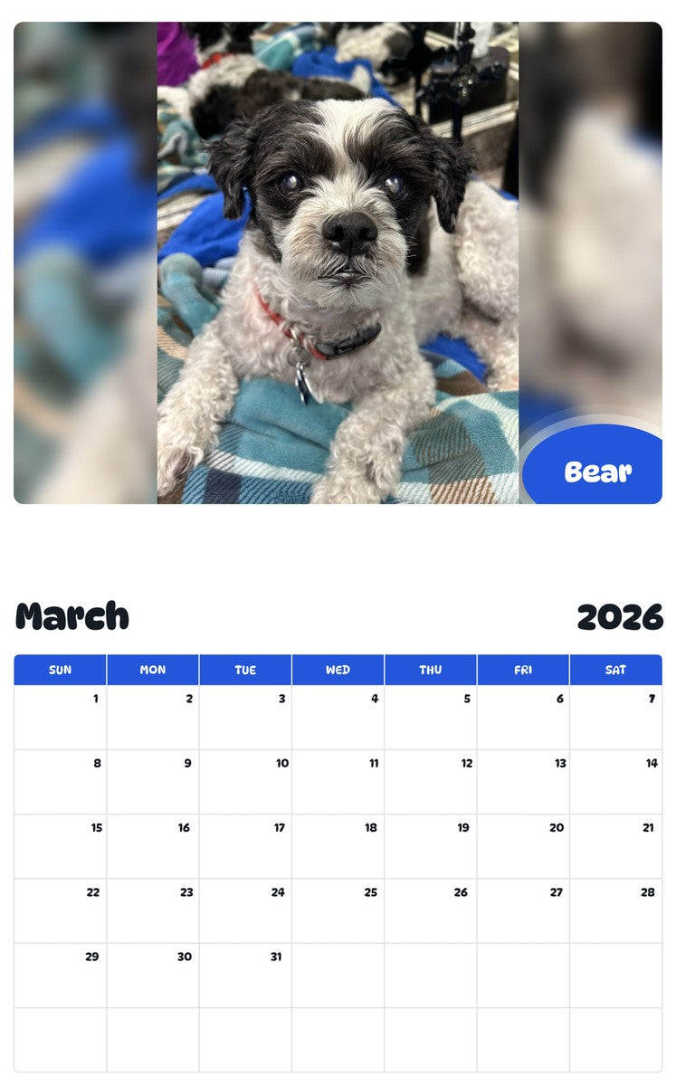 November 2025 - October 2026 Bear - Pawidols Pet Calendar