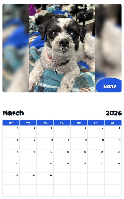 November 2025 - October 2026 Bear - Pawidols Pet Calendar