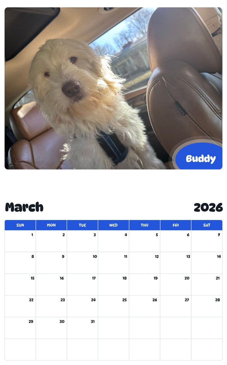 November 2025 - October 2026 Buddy - Pawidols Pet Calendar