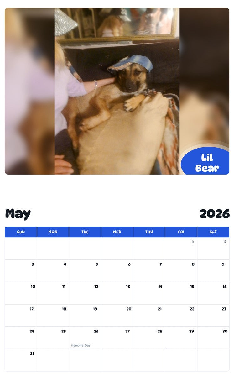 2026 - 2027 Lil Bear - Pawidols Pet Calendar